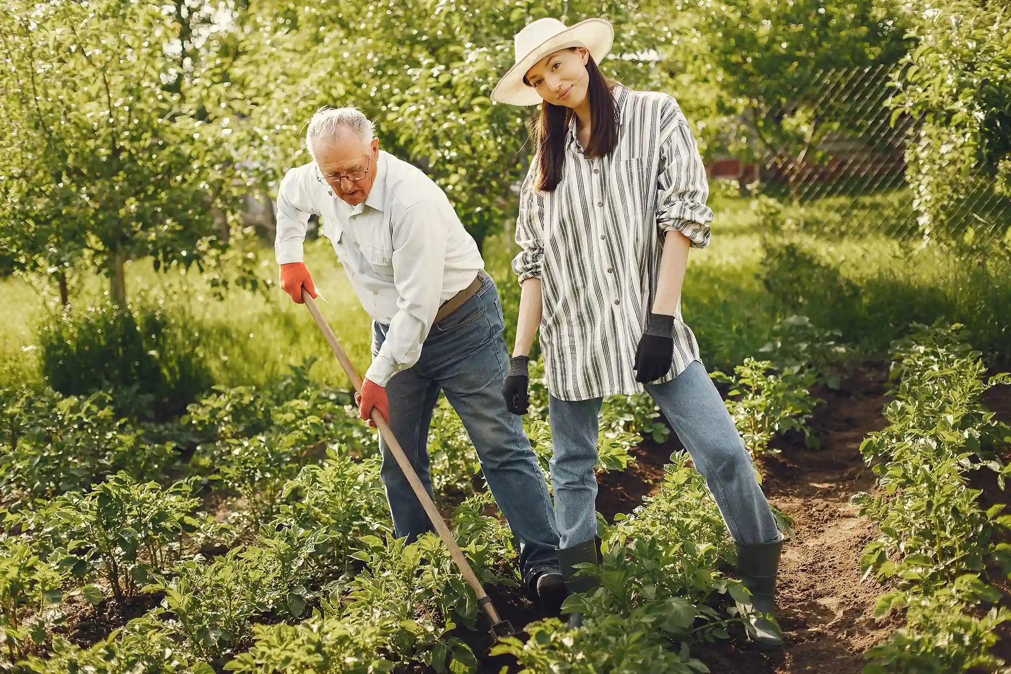 capital care image 11